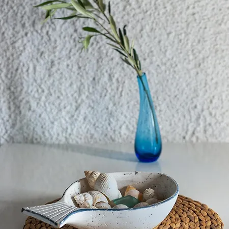 Aristi's